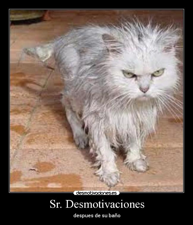 carteles desmotivaciones x95x desmotivaciones