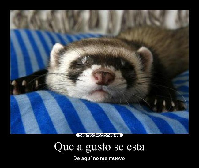 Que a gusto se esta -