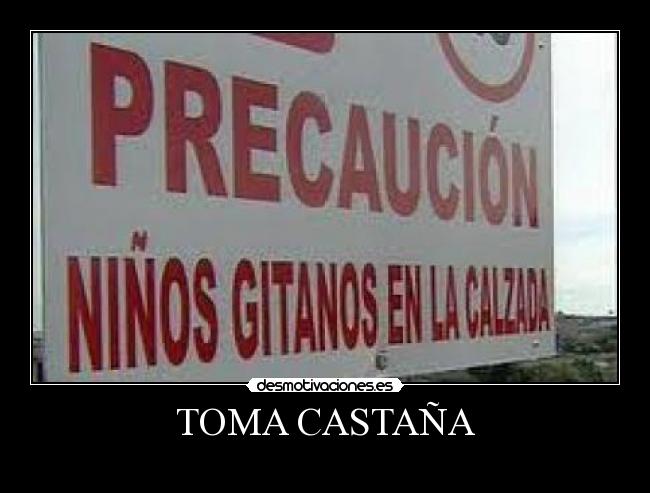 TOMA CASTAÑA - 