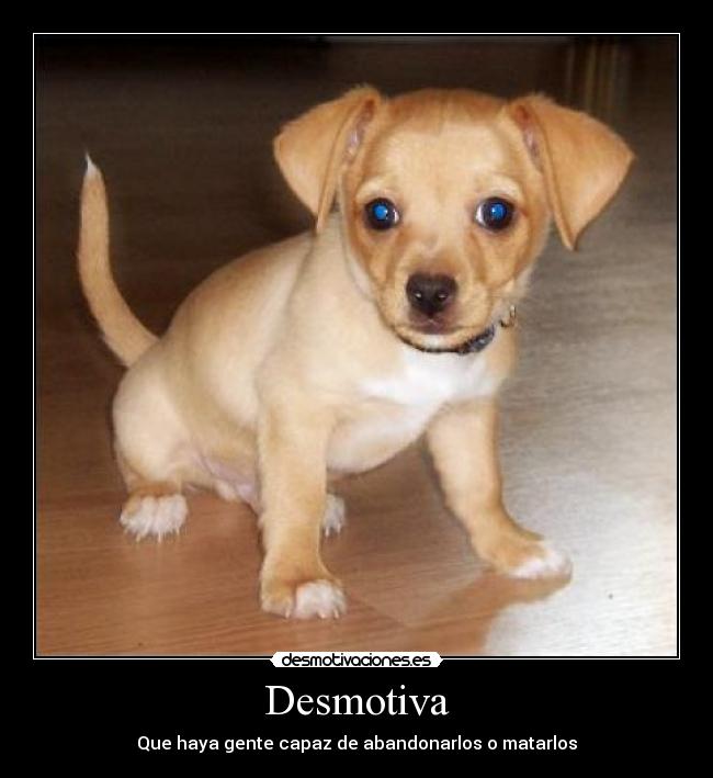 Desmotiva -