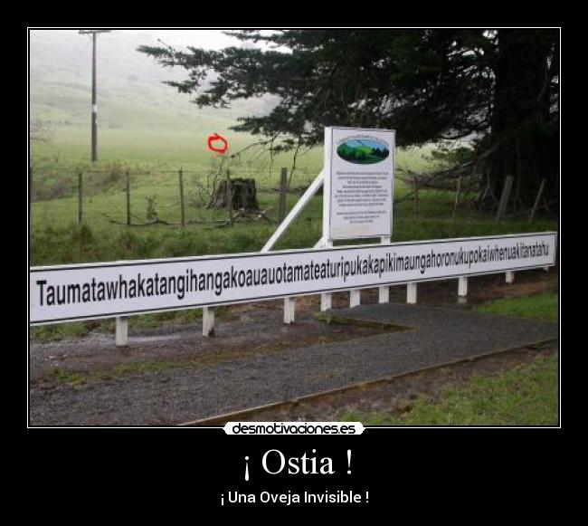 ¡ Ostia ! - ¡ Una Oveja Invisible !