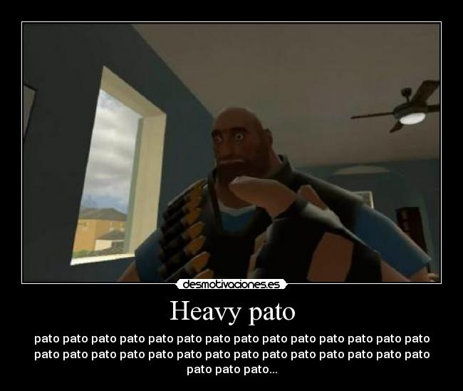 Heavy pato - 