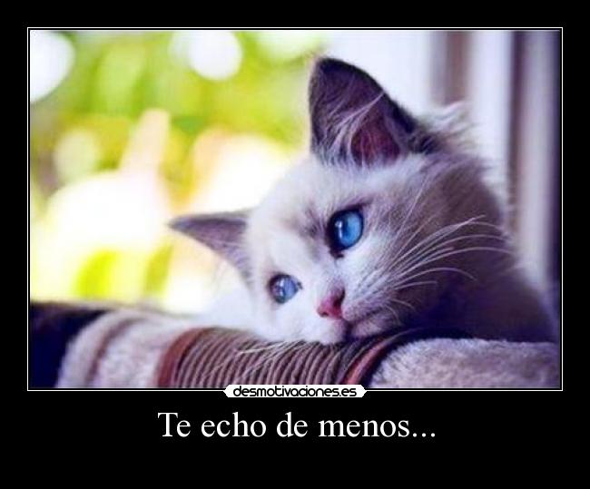 Te echo de menos... -