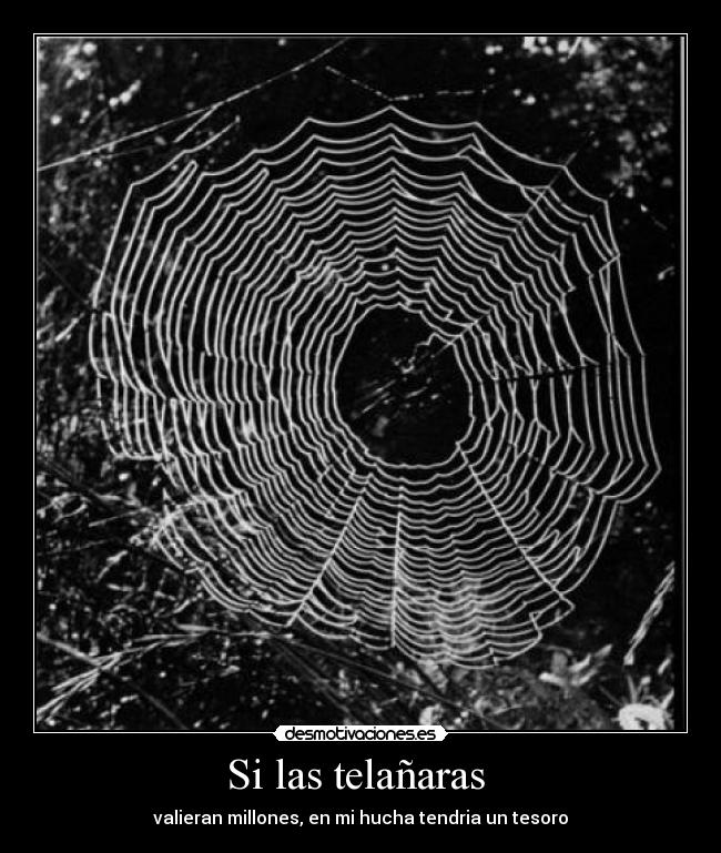 Si las telañaras  - 