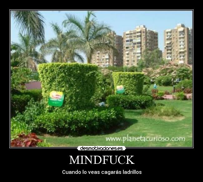 MINDFUCK - Cuando lo veas cagarás ladrillos