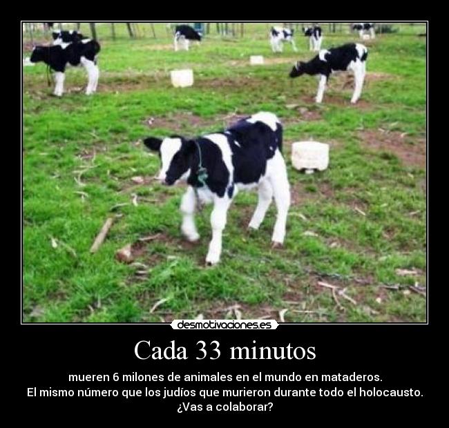 Cada 33 minutos -
