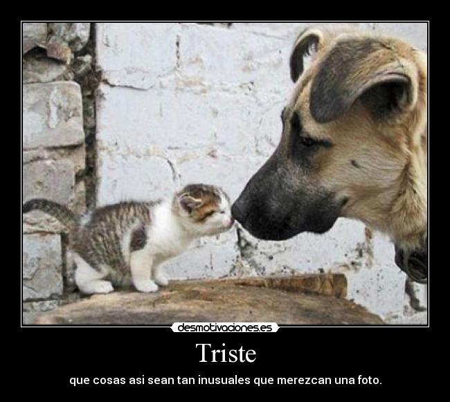 Triste - 