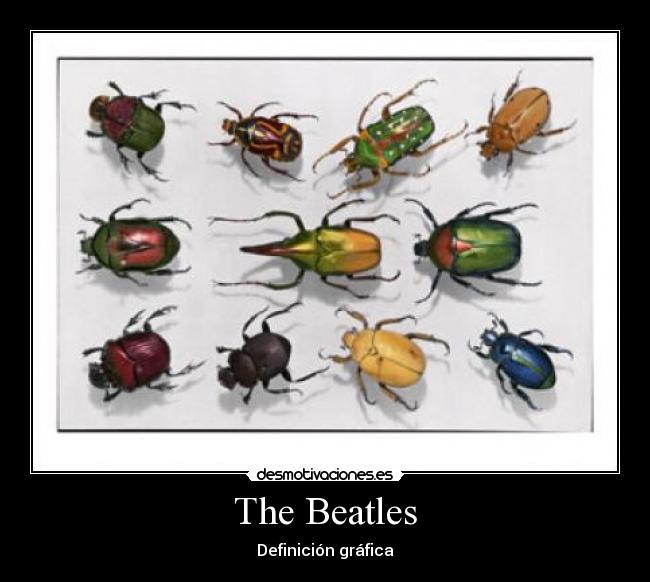 The Beatles -