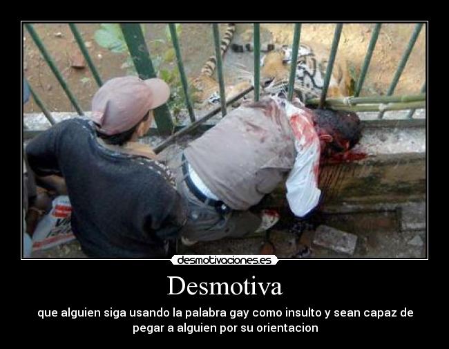 Desmotiva - que alguien siga usando la palabra gay como insulto y sean capaz de
pegar a alguien por su orientacion