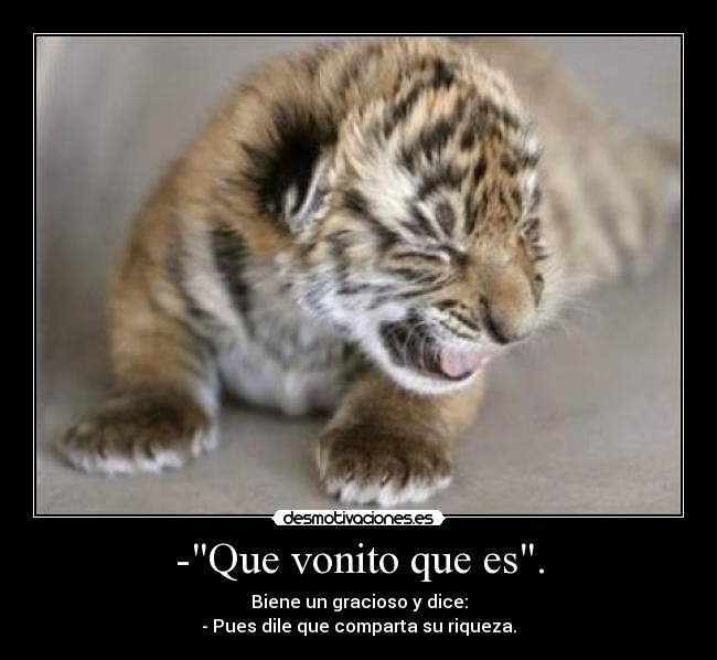 -Que vonito que es. - 