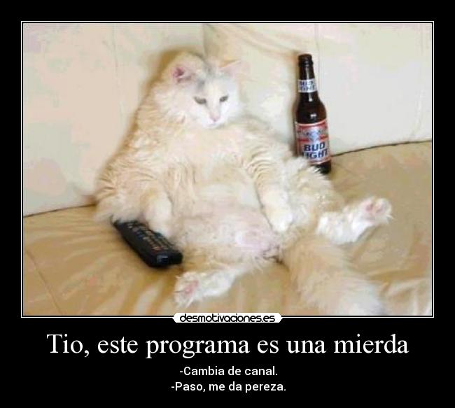 Tio, este programa es una mierda -