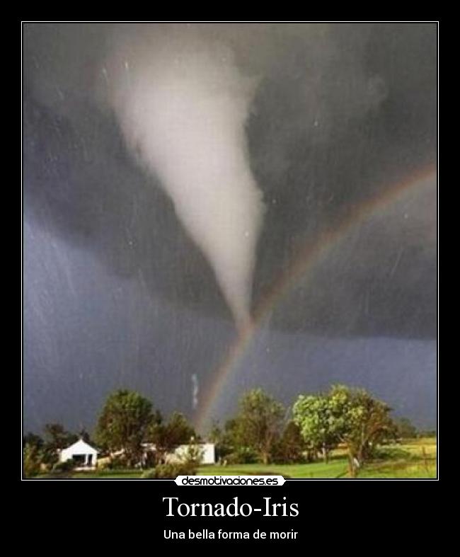 Tornado-Iris -
