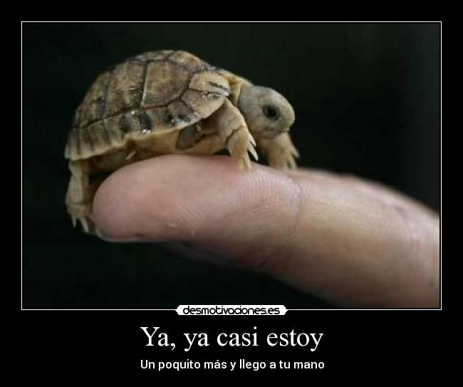 carteles tortuga mano desmotivaciones
