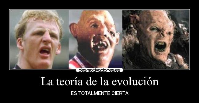 La teoría de la evolución - ES TOTALMENTE CIERTA