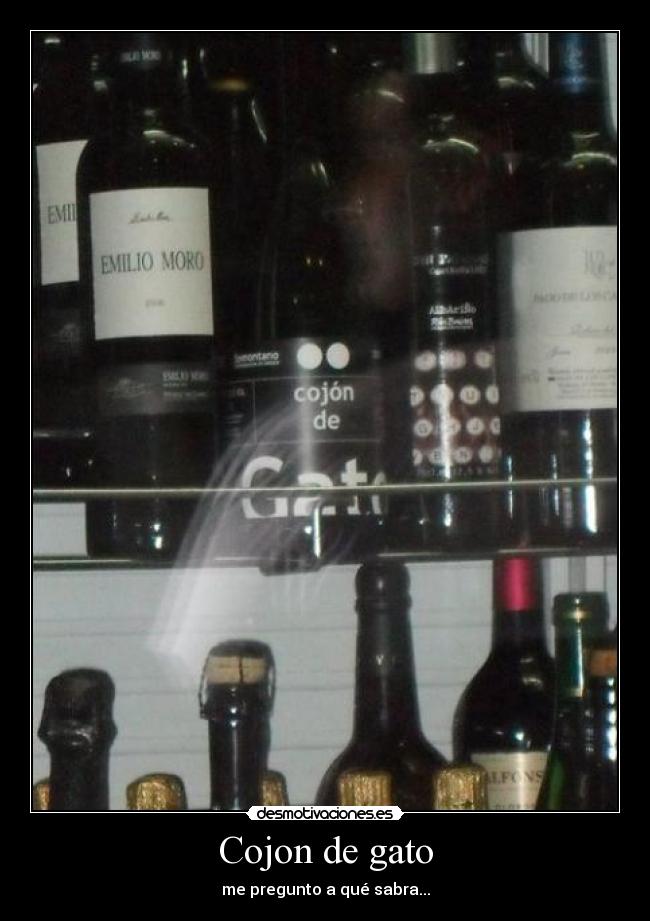 Cojon de gato - me pregunto a qué sabra...