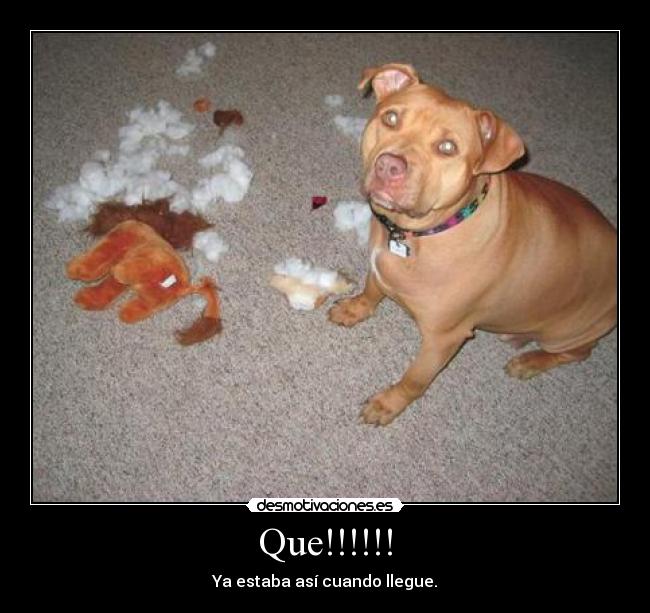 Que!!!!!! -