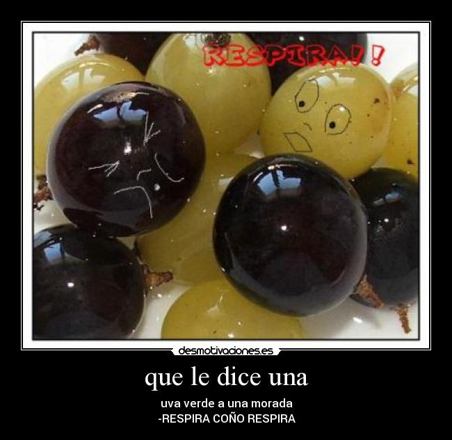 que le dice una - uva verde a una morada
-RESPIRA COÑO RESPIRA