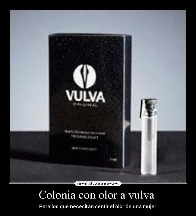 carteles colonia vulva mujer pajillero olor desmotivaciones