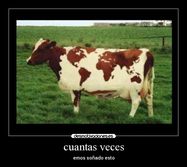 carteles algo desmotivaciones