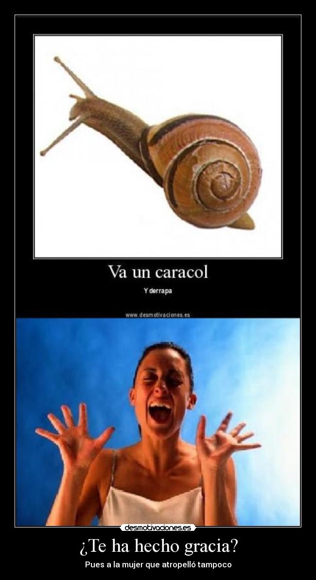 ¿Te ha hecho gracia? -