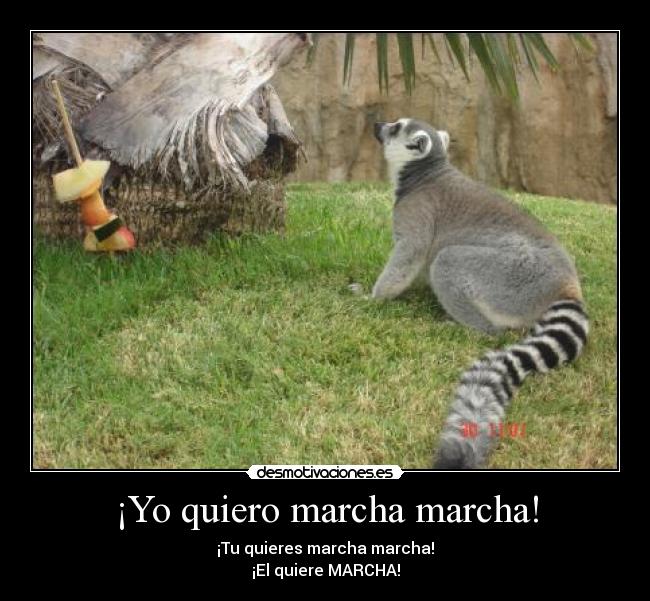 ¡Yo quiero marcha marcha! -
