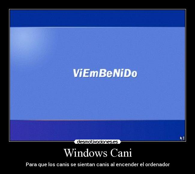 Windows Cani -