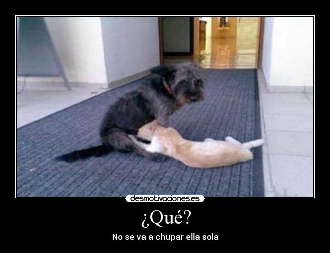 ¿Qué? - No se va a chupar ella sola