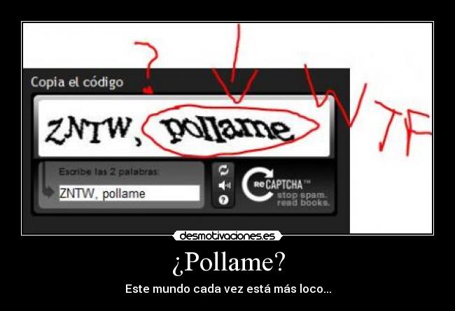 ¿Pollame? -