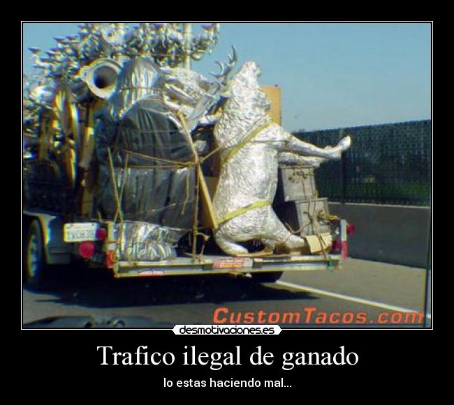 carteles xdxd desmotivaciones