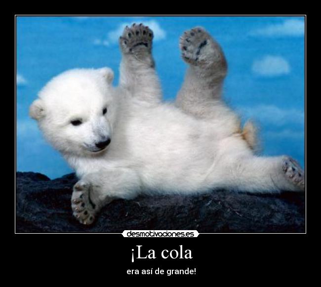 ¡La cola - era así de grande!