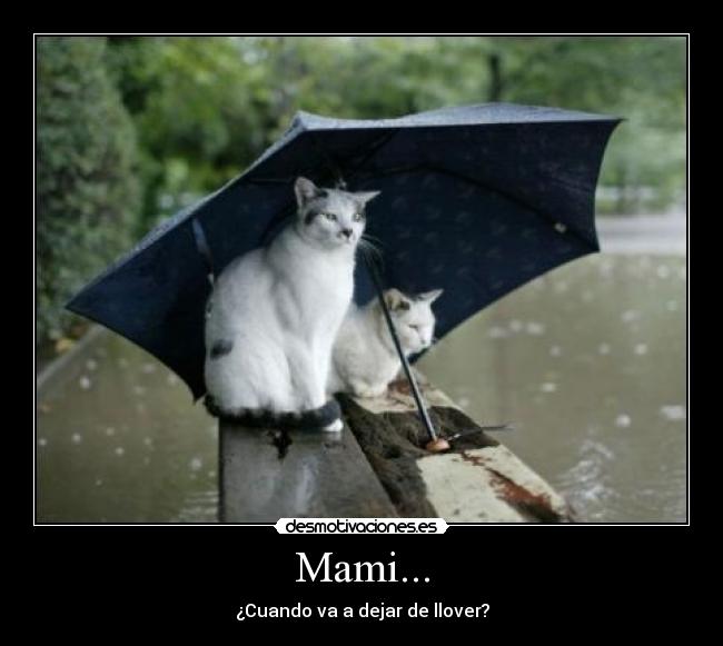 Mami... - ¿Cuando va a dejar de llover?
