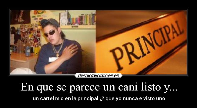 En que se parece un cani listo y... -