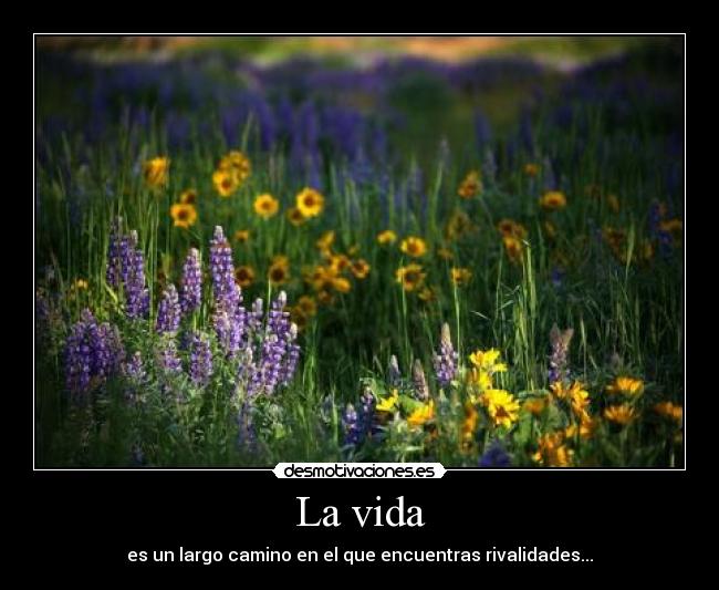 La vida - 