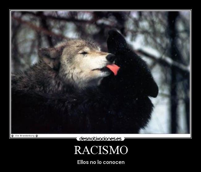 RACISMO -