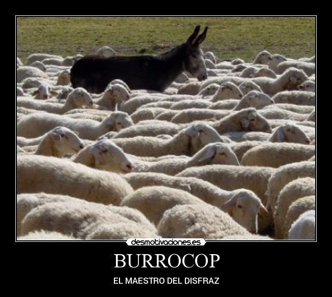 BURROCOP - 