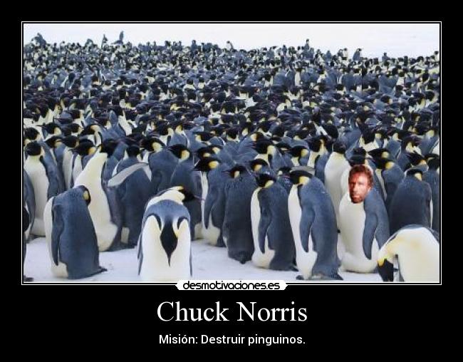 Chuck Norris - 
