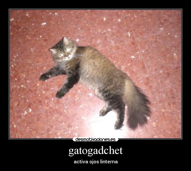 gatogadchet -