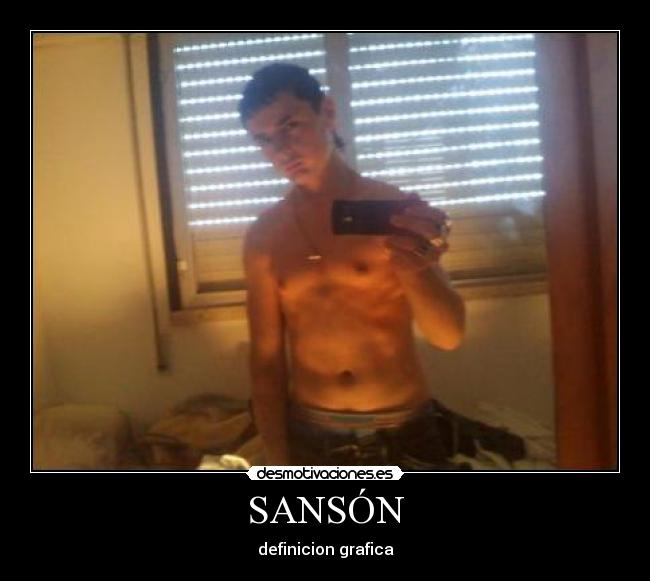 SANSÓN - definicion grafica