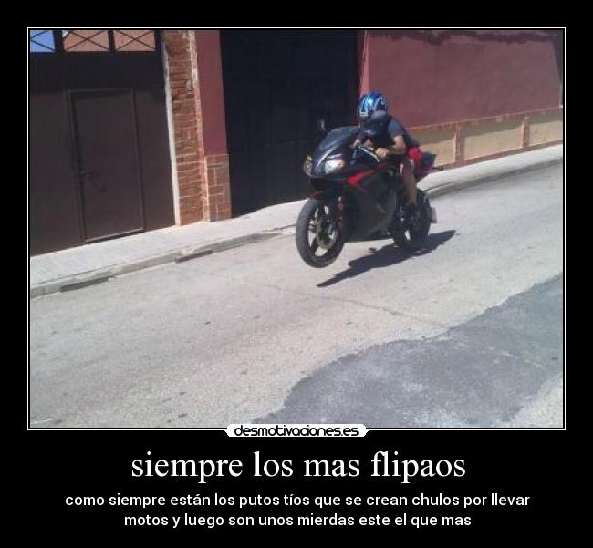 carteles menuda mierda desmotivaciones