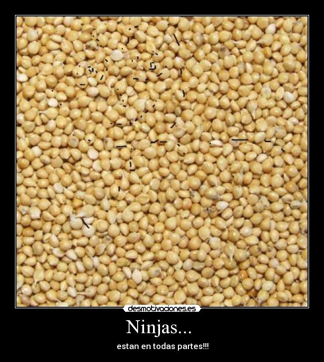 Ninjas... - estan en todas partes!!!