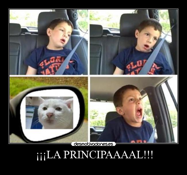 ¡¡¡LA PRINCIPAAAAL!!! - 