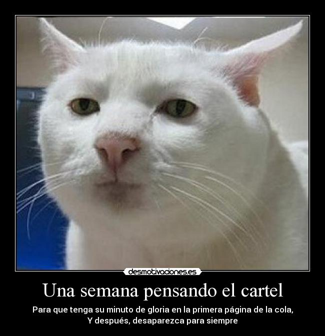 carteles una semana pensando cartel gloria primera pagina cola despues desaparezca para siempre desmotivaciones