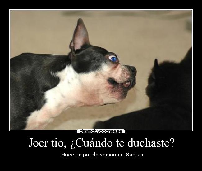 Joer tio, ¿Cuándo te duchaste? - -Hace un par de semanas...Santas