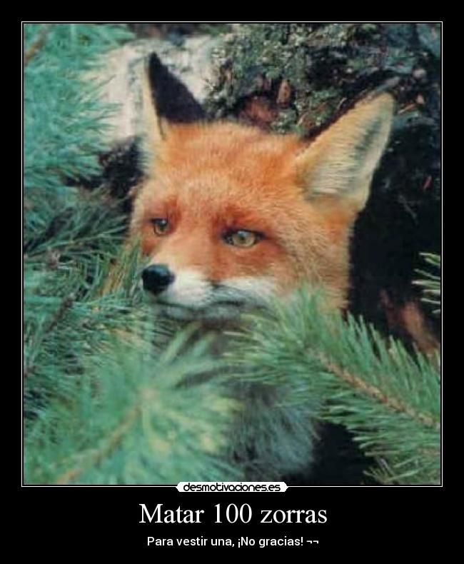 Matar 100 zorras -