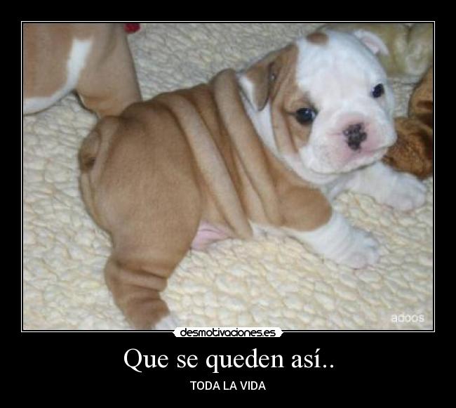 Que se queden así.. -