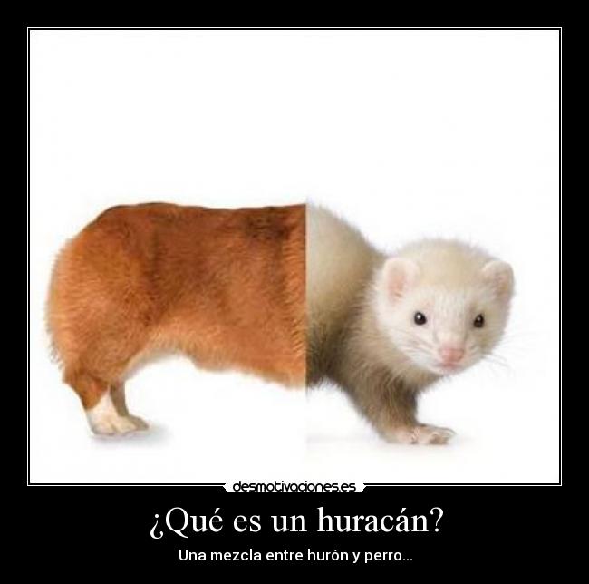 ¿Qué es un huracán? -