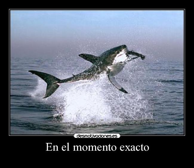 En el momento exacto - 