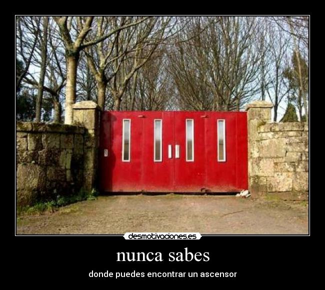 nunca sabes - donde puedes encontrar un ascensor