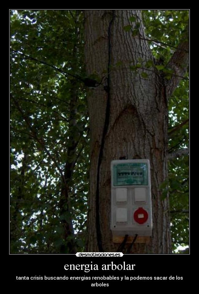 energia arbolar - tanta crisis buscando energias renobables y la podemos sacar de los arboles