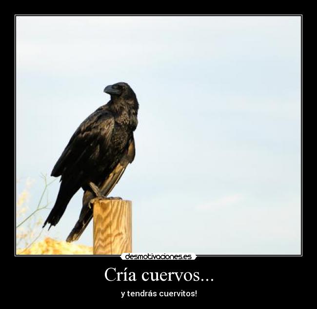Cría cuervos... -